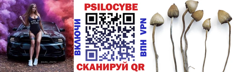 Псилоцибиновые грибы мухоморы  Купить  Яровое 