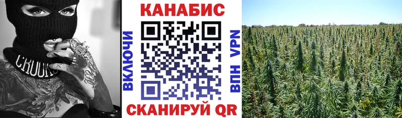 Купить  Яровое  Каннабис ГИДРОПОН 